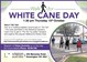 Walk For White Cane Day October 15th  2015
